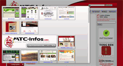 Desktop Screenshot of mtc-infos.org